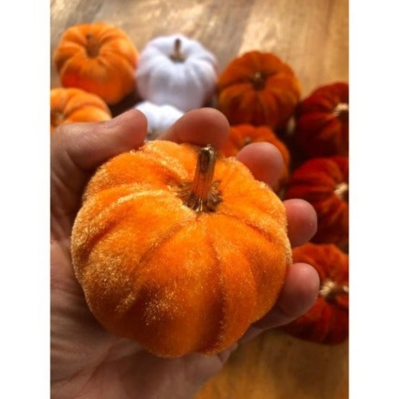 12 Pcs Assorted Small Harvest Faux Velvet Pumpkins for...